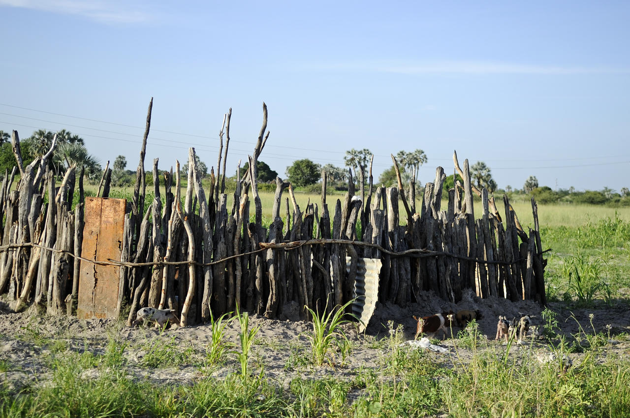 Ongula Village Homestead Lodge Omupumba エクステリア 写真